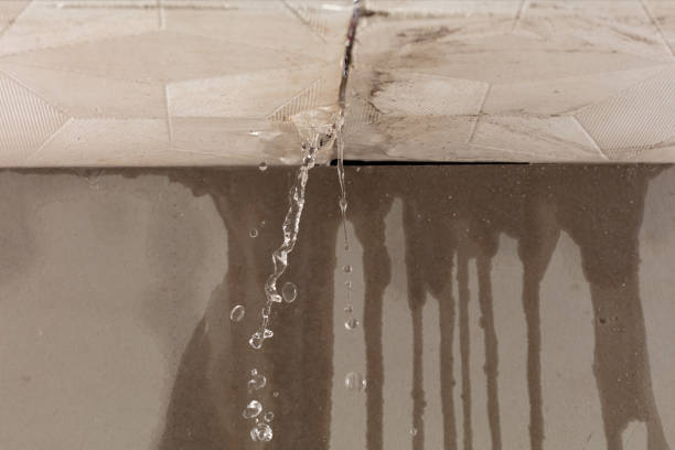 Professional Flood Damage Cleanup technician working in Oldsmar, FL